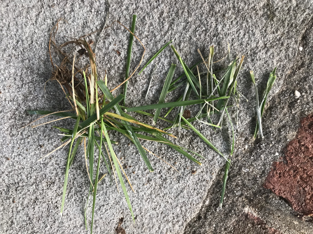 8F7D31A0-91C0-4D29-BCC1-4B56CC858C2B