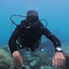 Underwater hand signal OK