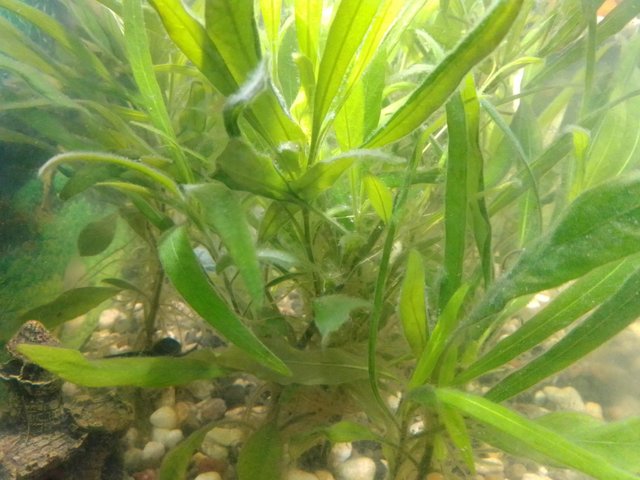 IMG_20221114_162121 (1)