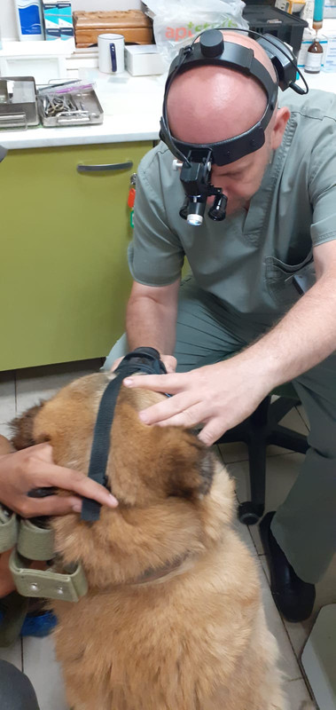 WhatsApp Image 2023-08-02 at 11.59.14 (1)