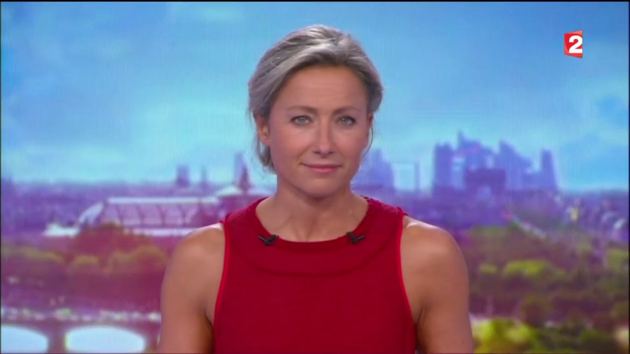 Anne-Sophie Lapix to edit 040917.mp4_snapshot_01