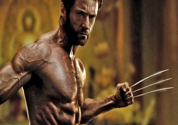 The Wolverine (2013) The Wolverine (2013)