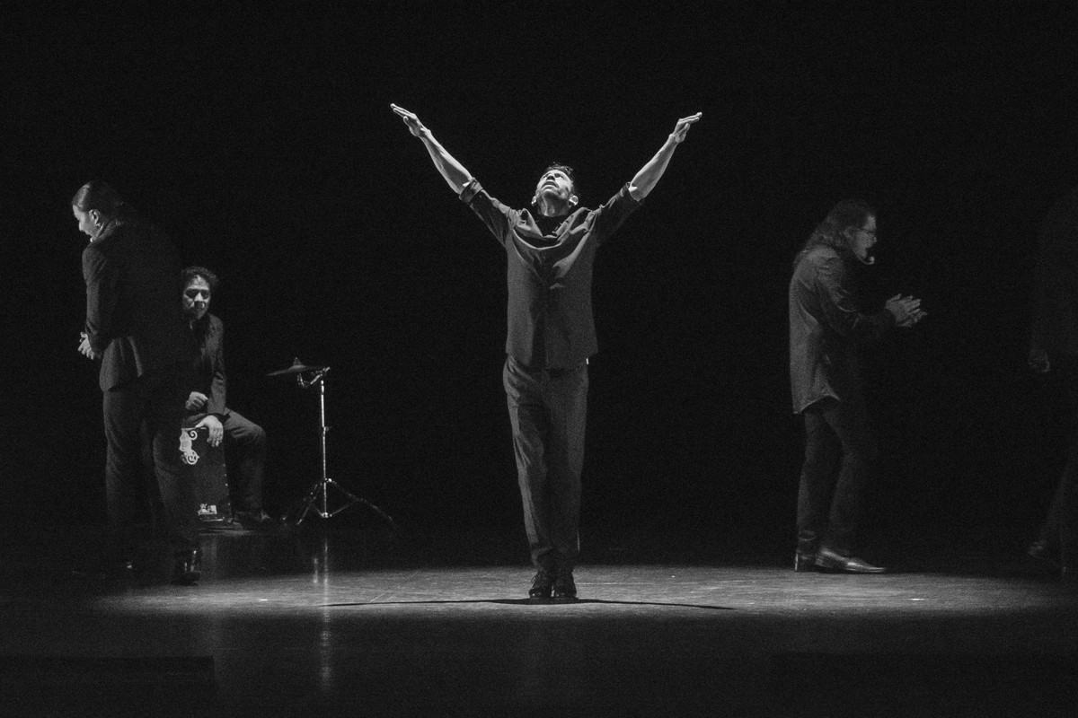  Bailaor, espectáculo que aborda la danza flamenca desde distint