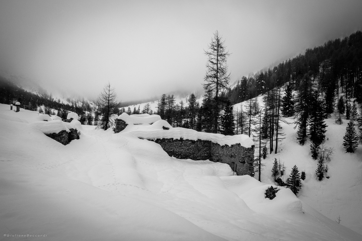DSCF0556