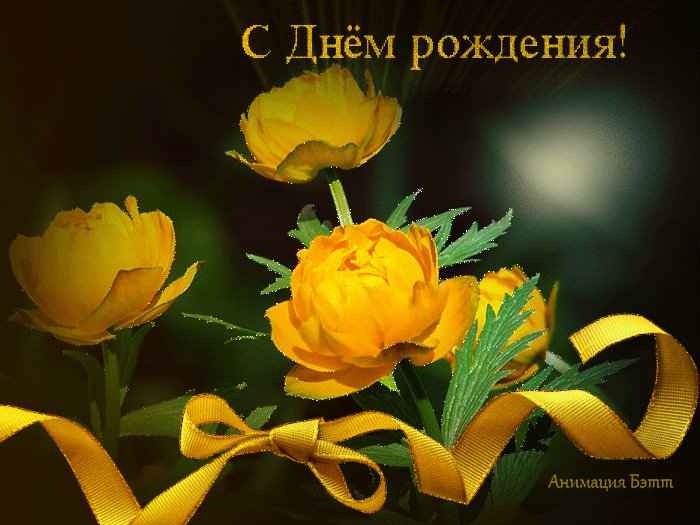 https://i.postimg.cc/4y06QfVC/126275364-156588577.gif