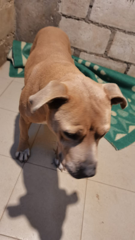 WhatsApp Image 2023-01-23 at 15.17.34 (1)