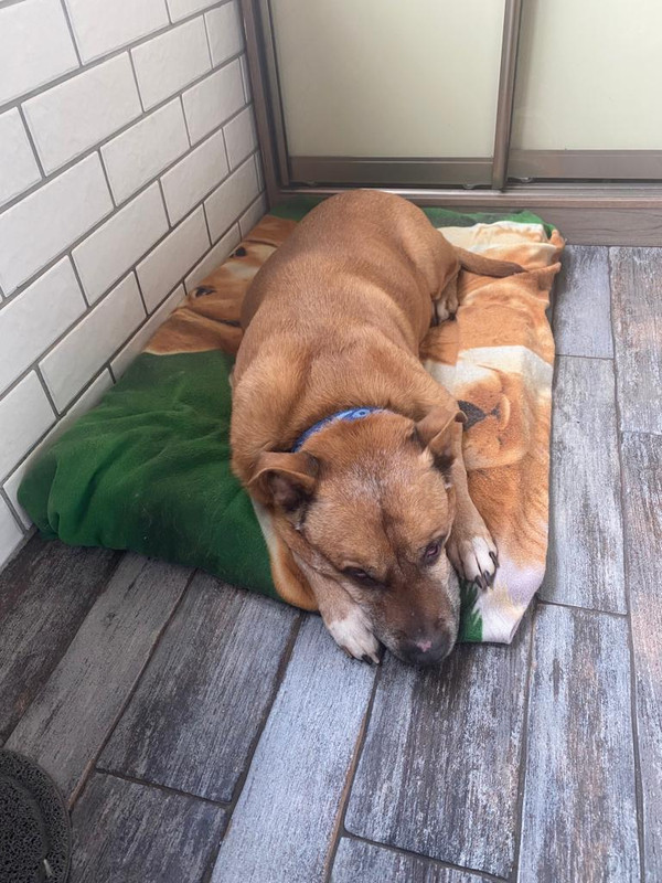 EFE27A6B-D817-4239-914D-21C2DD29E144