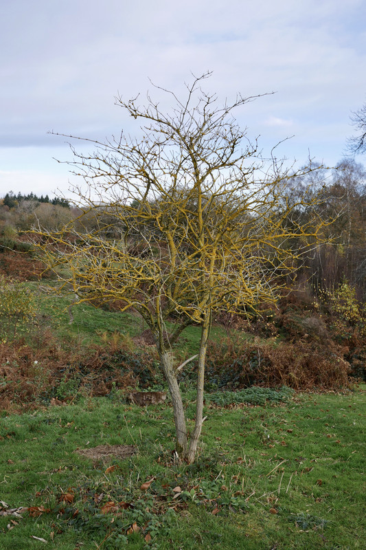 AD466BA5-B353-4A91-A215-F763706F76A1