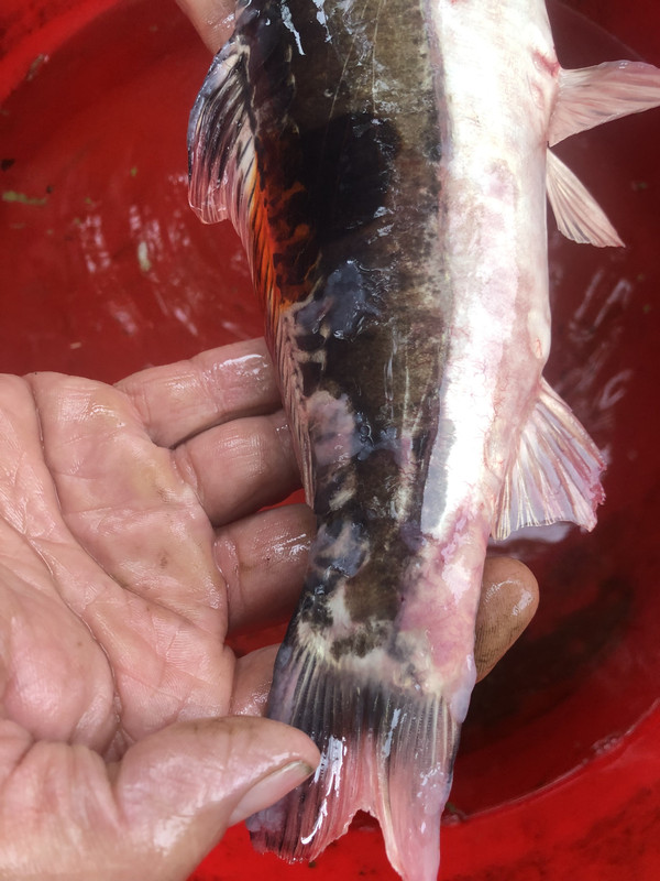 42B5B01D-7D3B-40AC-82D5-8900DF65ECEE