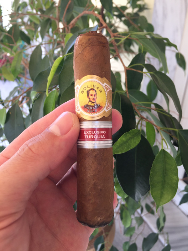 AE081E20-4B26-4D64-BF2F-DC3FCAC9F164