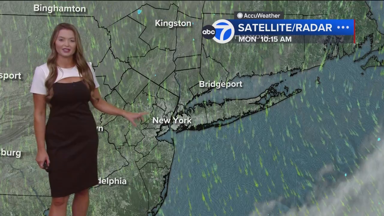 Eyewitness News Mornings at 10_20240701_15001600.ts_snapshot_00.18.00.171