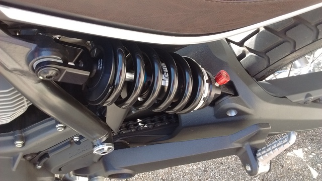 my scambler (1) (10)