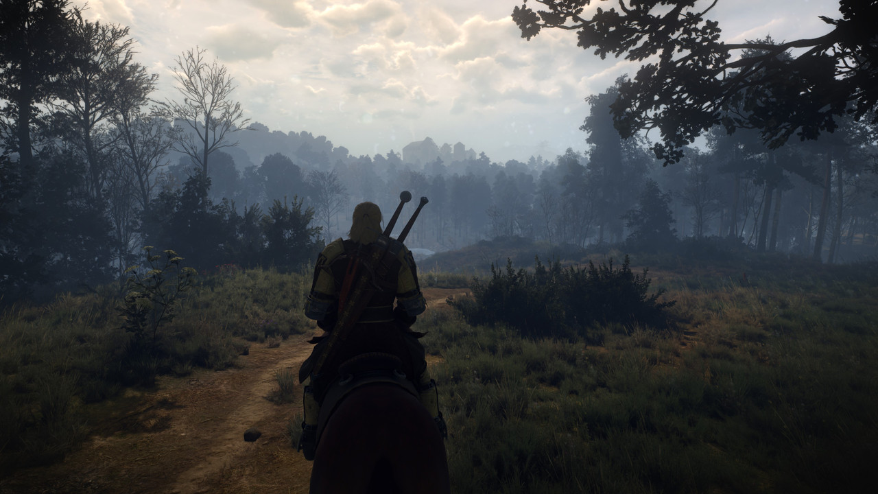 The Witcher 3 Screenshot 2023.01.04 - 20.33.40.50