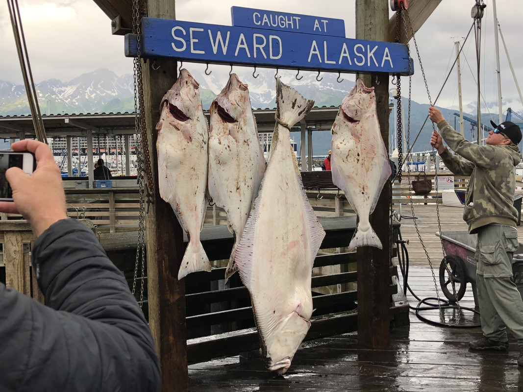 9DCAF77D-9079-48D9-ABAA-4C035AD0492A