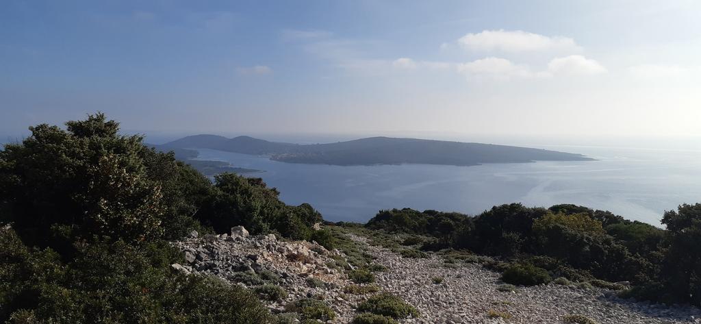 20191023_142609-1 (1)