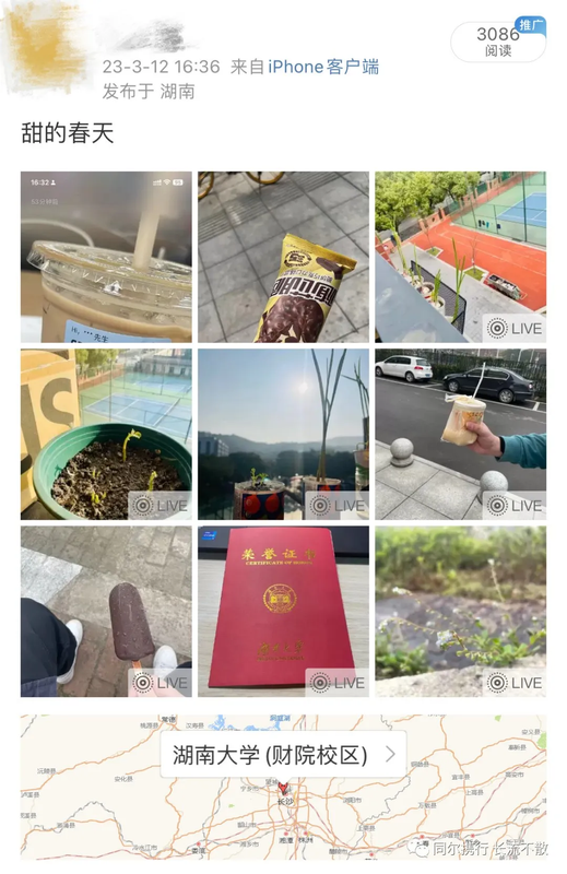 可能由于网络问题没显示出来