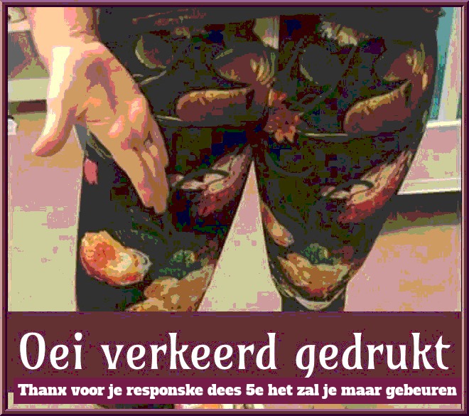 December-Delights-gekkemeid2