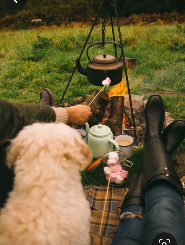 Screenshot_20231112_235535_Pinterest