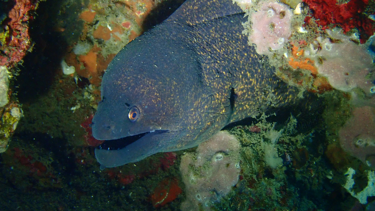 56B040C2-5B5A-4898-BA04-780278FE74D3