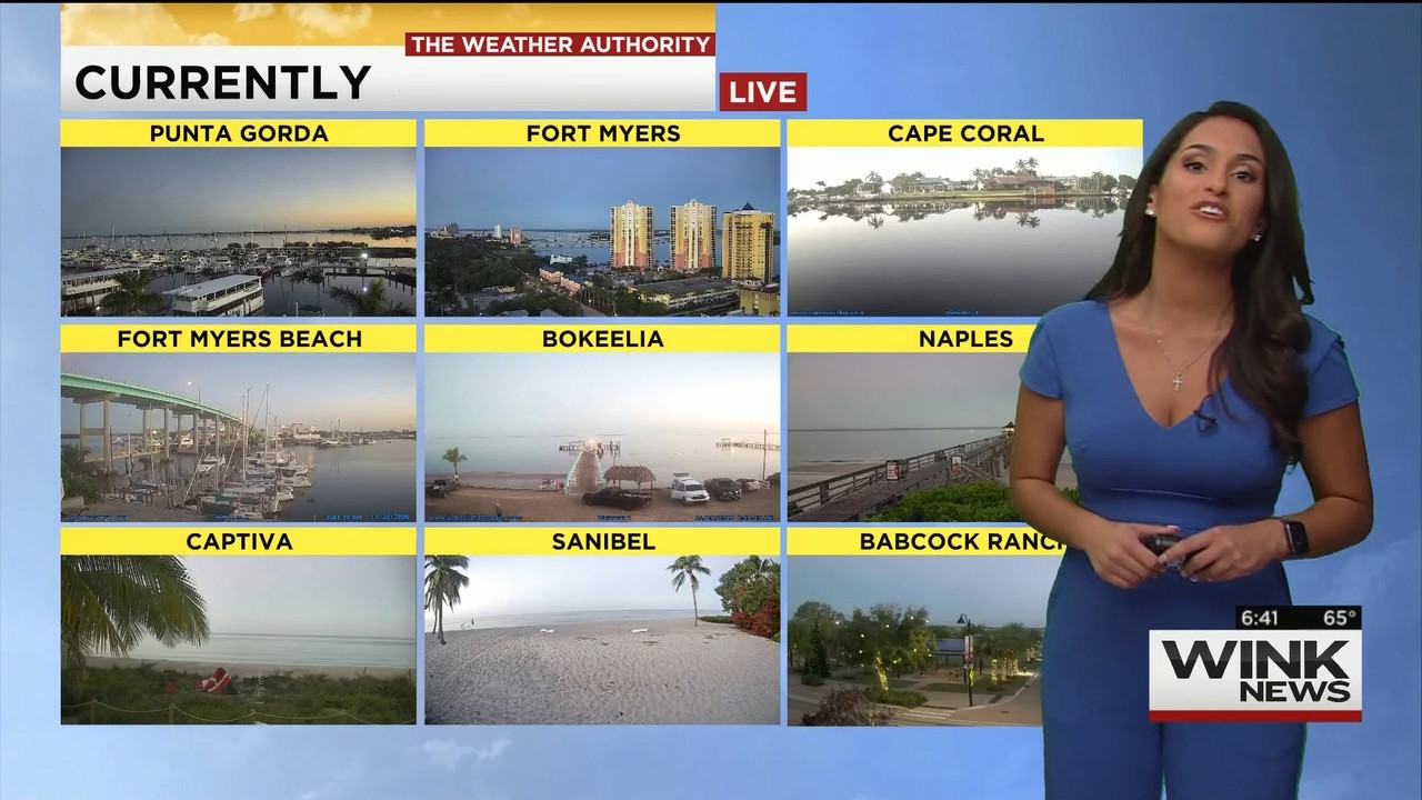 11.28 - 11.00.00 - WINK News This Morning..ts_snapshot_42.14.219