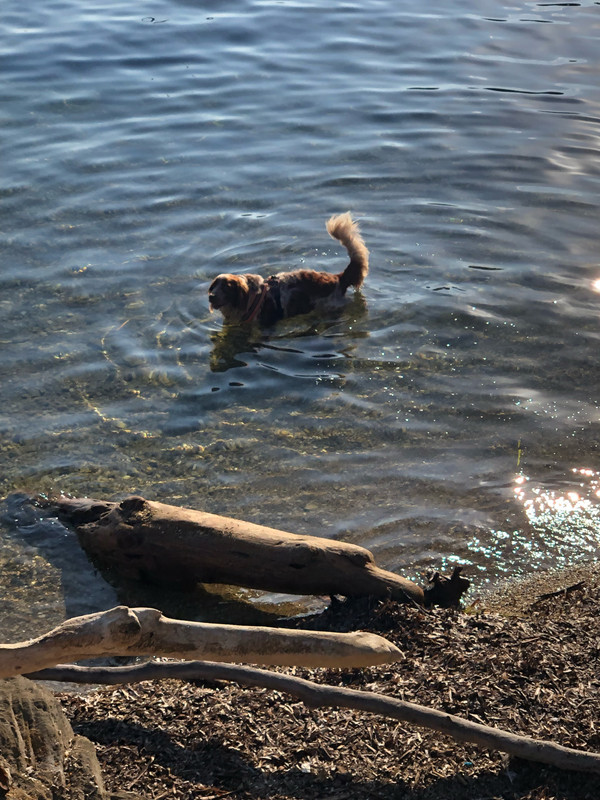 DA2FDE84-0265-4A16-827D-2F06ED3A542D