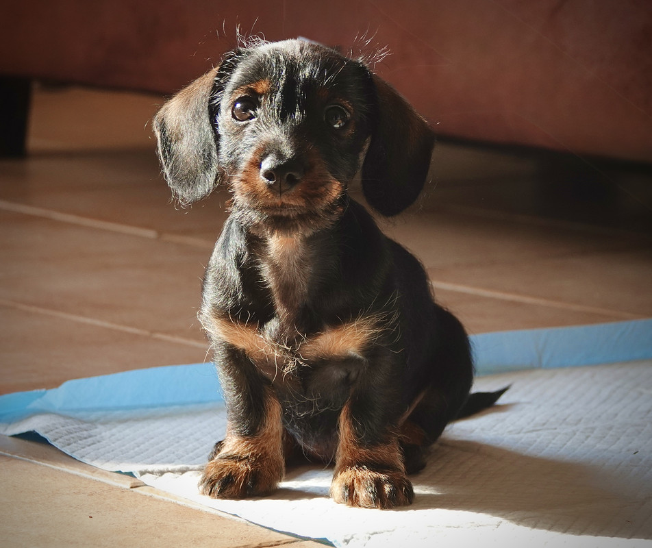 [Image: DSC01205.jpg]