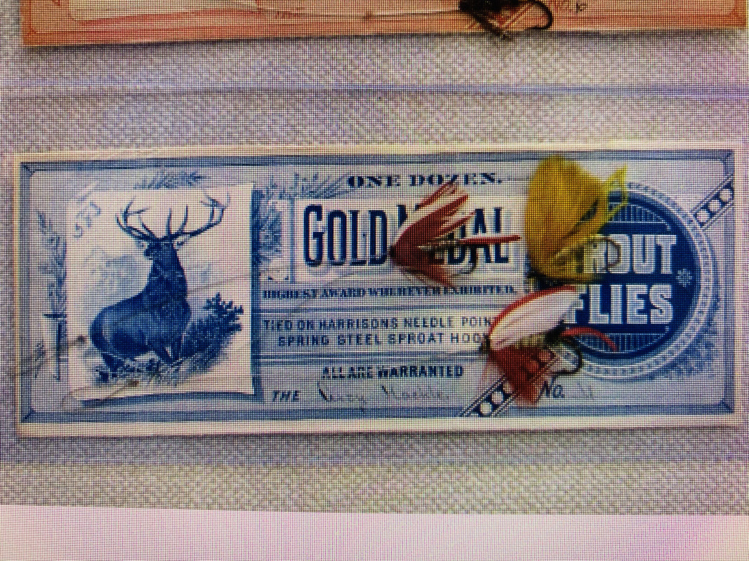 9B480541-4015-4C84-B3AF-513389AA0466