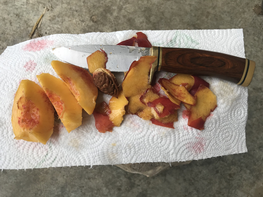 68C85912-CEAE-492E-92DC-A271D301D2FC