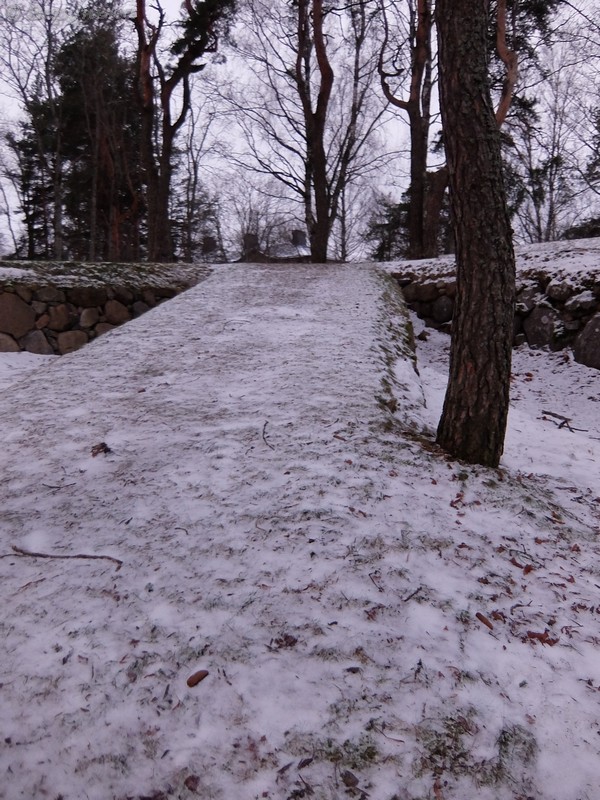 DSCF6441
