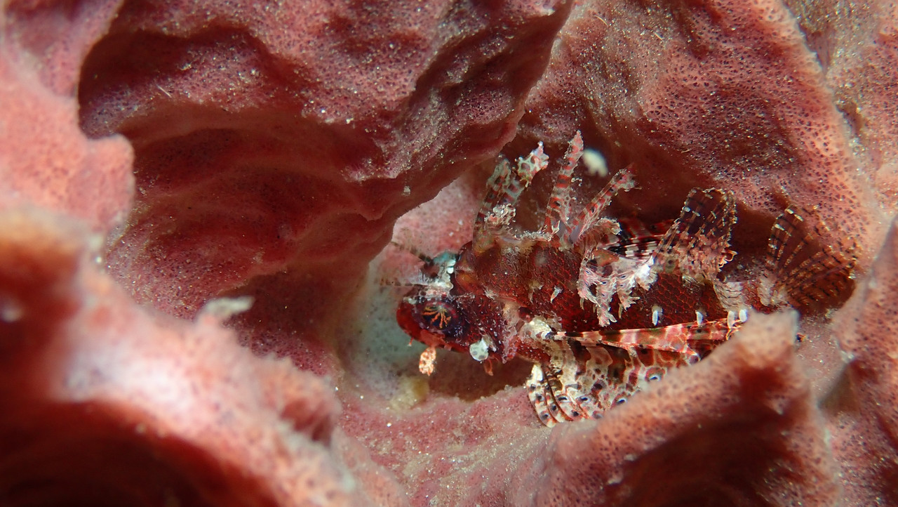 A72DD607-C98C-4168-8F90-1FA6AE98018C