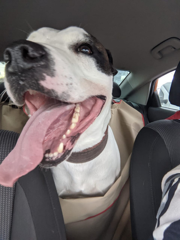 1508A05B-6427-4D37-AA68-F72E4D191D6D