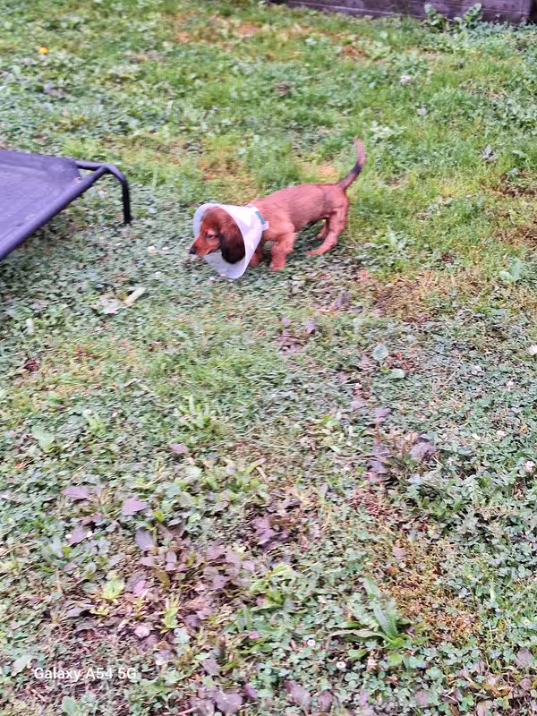 [Image: 20240922-102551.avif]