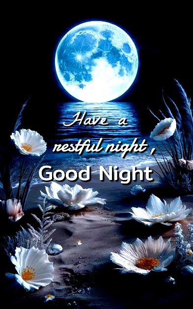 night-3
