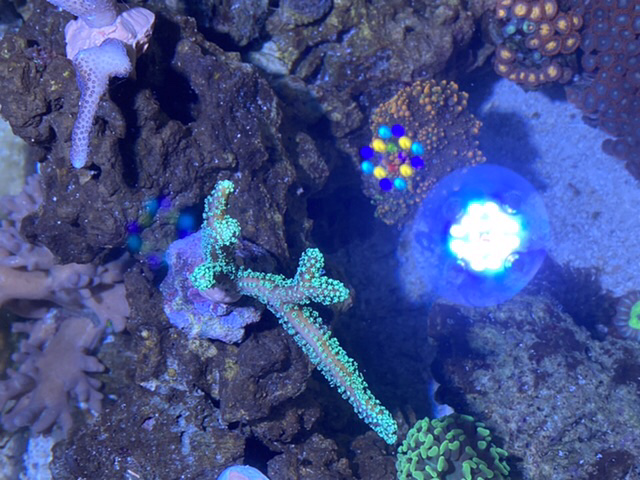 326999B8-34B8-4F5C-92E2-CF932BEA5C47