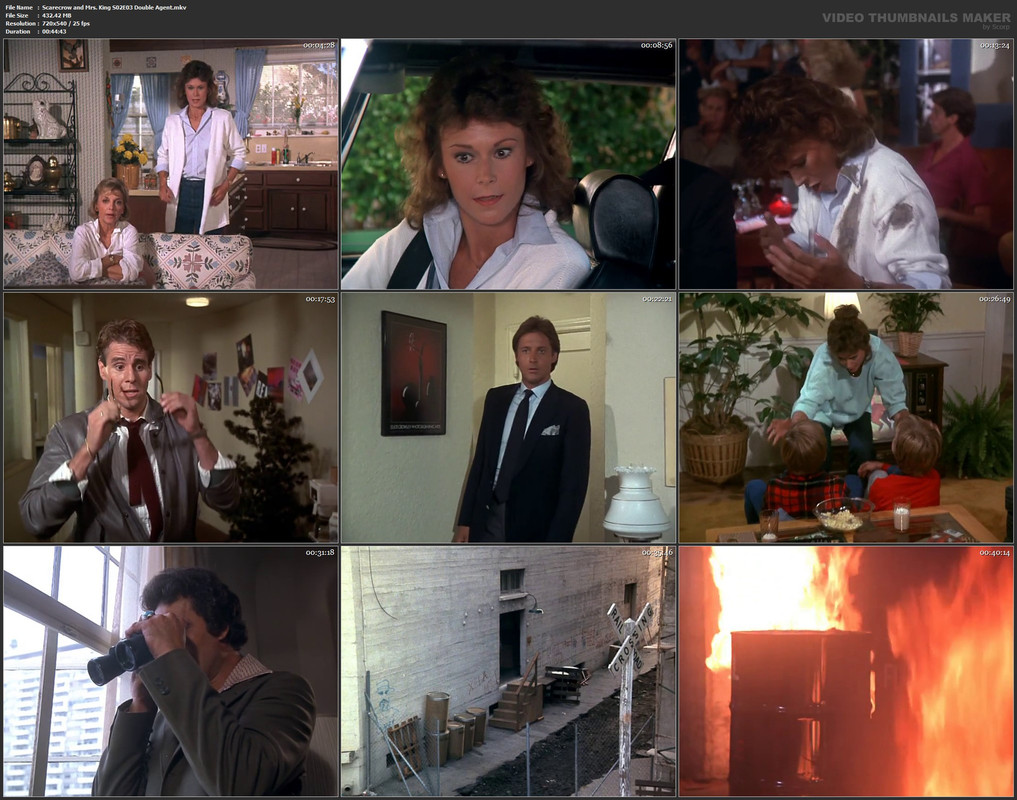 Scarecrow and Mrs. King S02E03 Double Agent.mkv