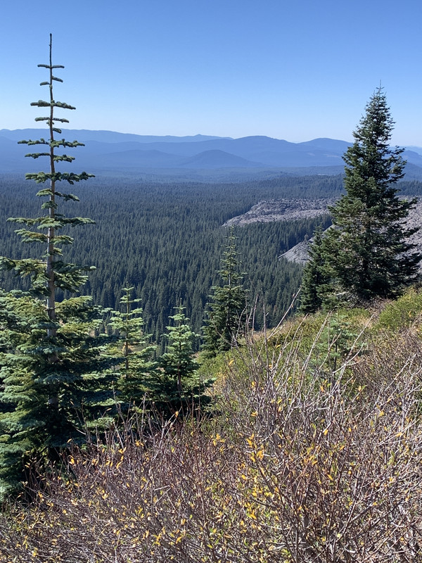 9989E66F-A522-43E7-B572-F79FF9F24939