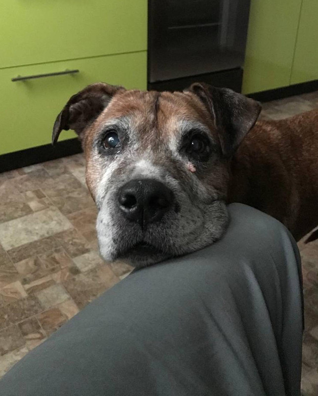 823D969D-CAE0-412A-B8EE-C01786FF1DF0