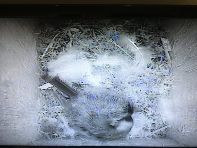 744A5F69-78F2-441F-9916-D7A9AD6D2B5E