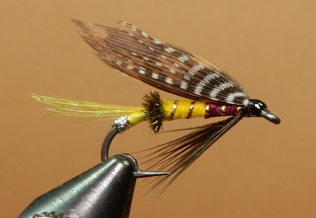 Tge-Don-1080.jpg