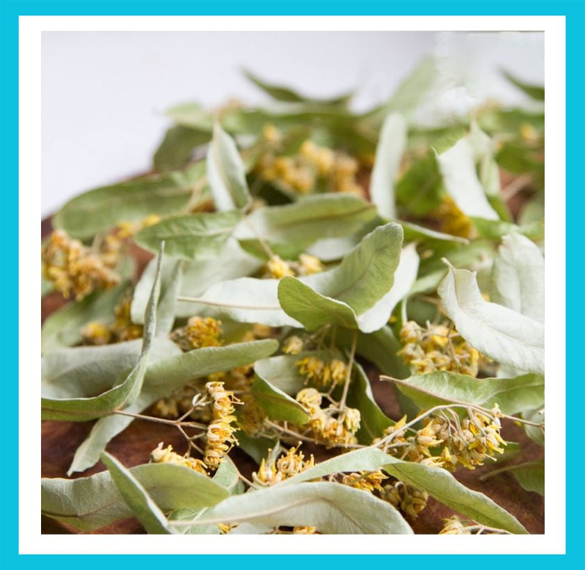 [Изображение: photo-2026-02-21-11-59-41.jpg]