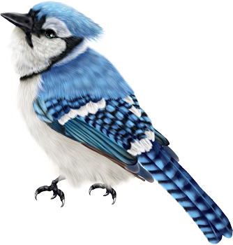 DaelmansDesigns-DearSanta-TS-PU-Element-09