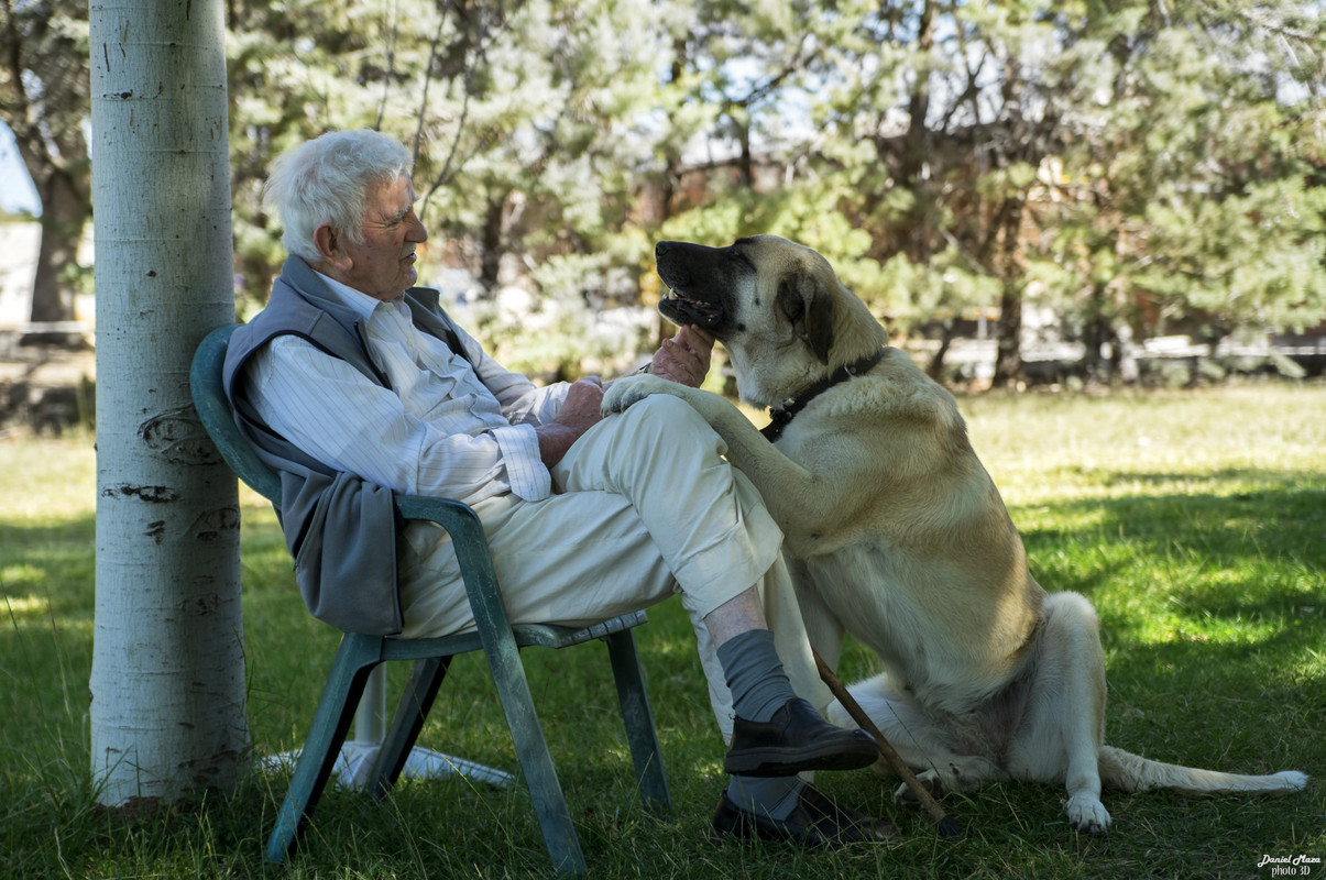 peopleoldmanandog.jpg