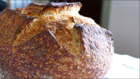 Course #1 • Sourdough Bread Baking 101 (2020-04)
