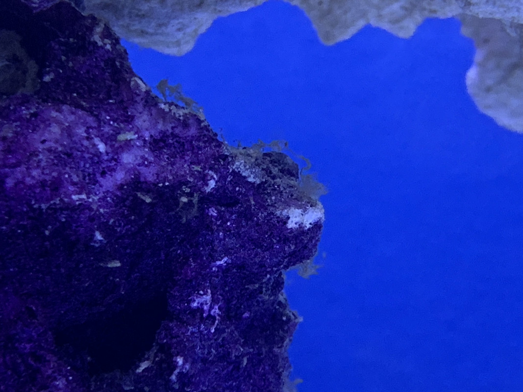 BDC1E66B-BB3F-477B-B948-1510405B9FFC