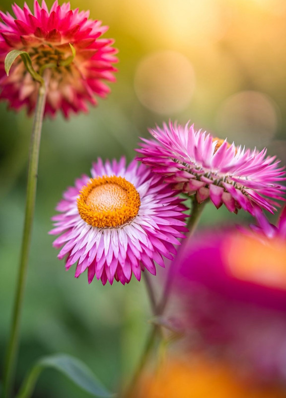 Screenshot_20240424_214353_Threads