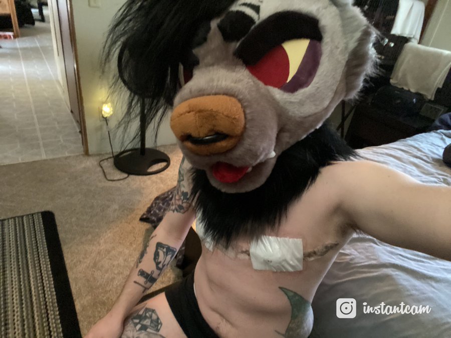 tranny furry