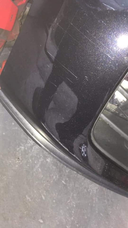 136936848_360408952056436_1166804761928413770_n