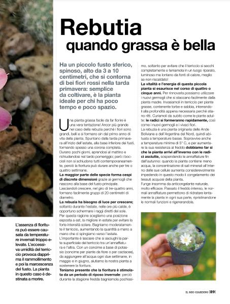 il Mio Giar Apr 2020 (12)