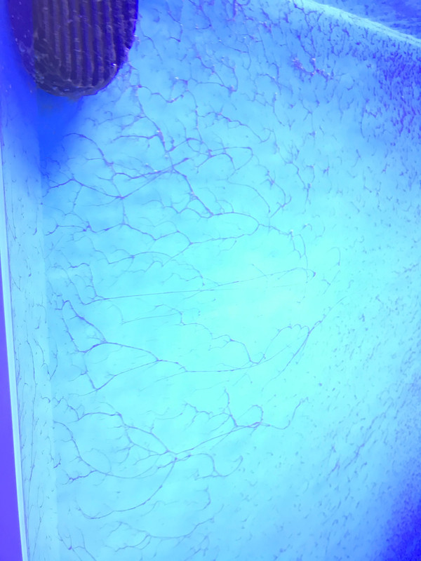 0E50E0E4-532A-4C1F-ACDB-B731FAA3A8C6