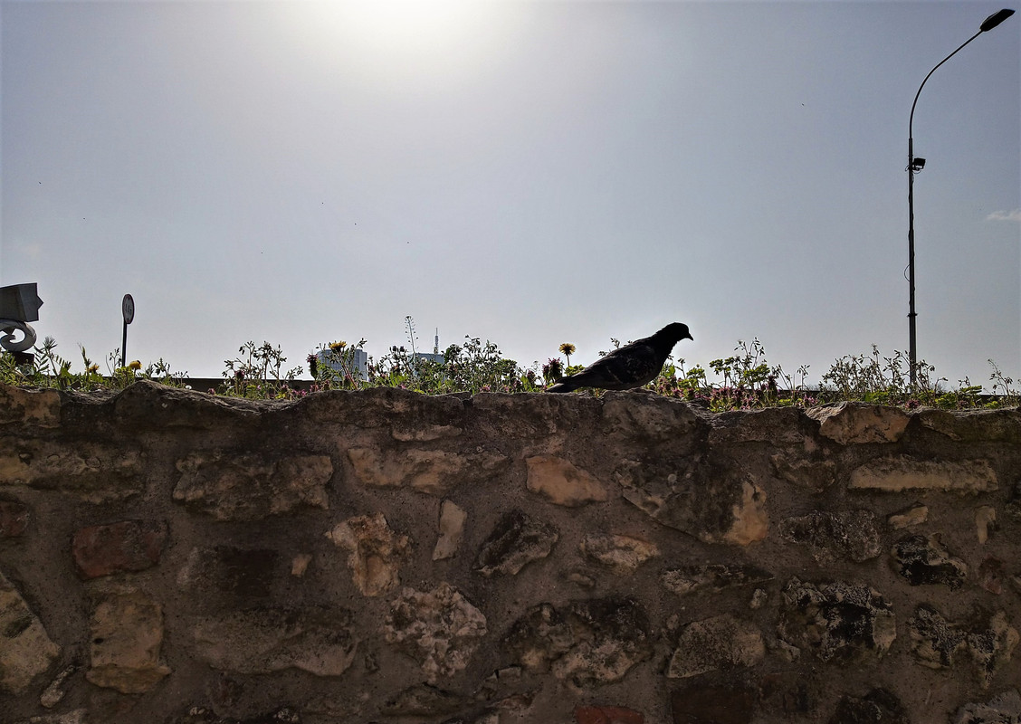 20200328_142059_HDR(1)